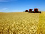 Agricultural productivity is critical