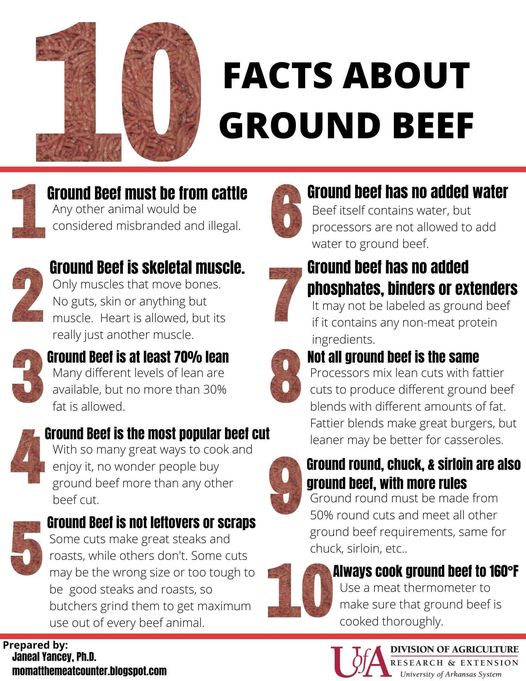 busting the myths with 10 facts about ground beef