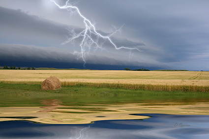 Photo contest winners announced