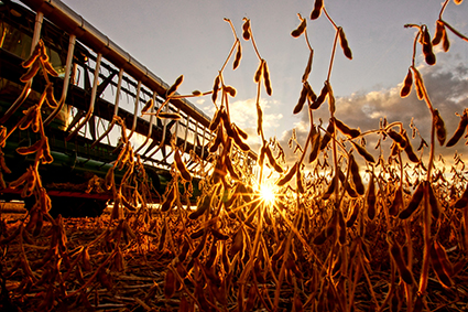 2019 Second Place winner in the NDFB Promotion and Education photo contest was Katherine Plessner of Verona 