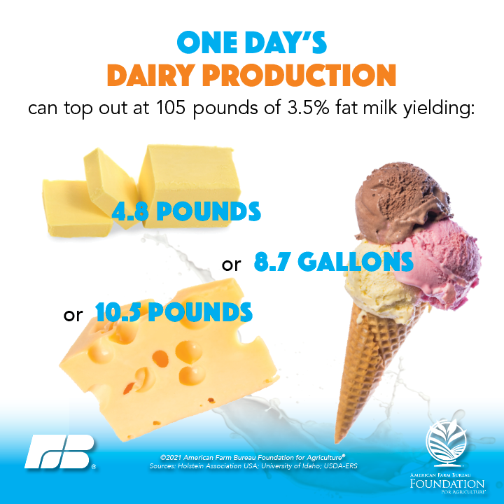 Dairy production