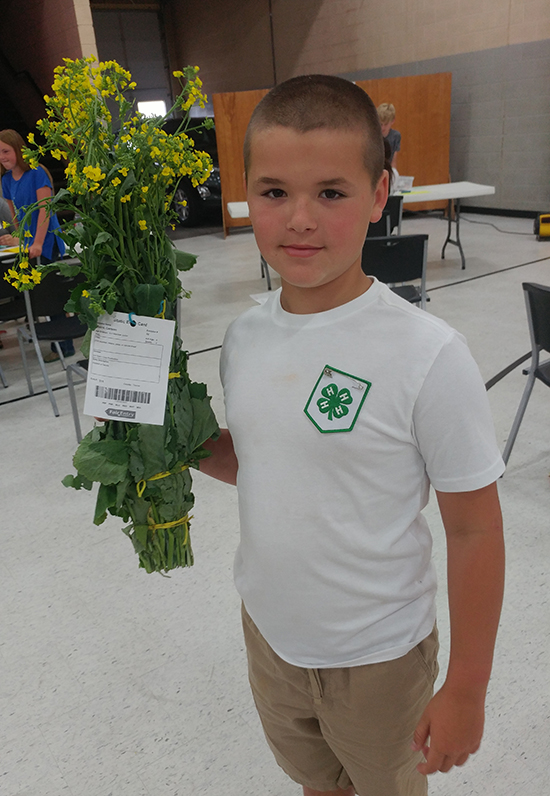 4-H project showing at local school