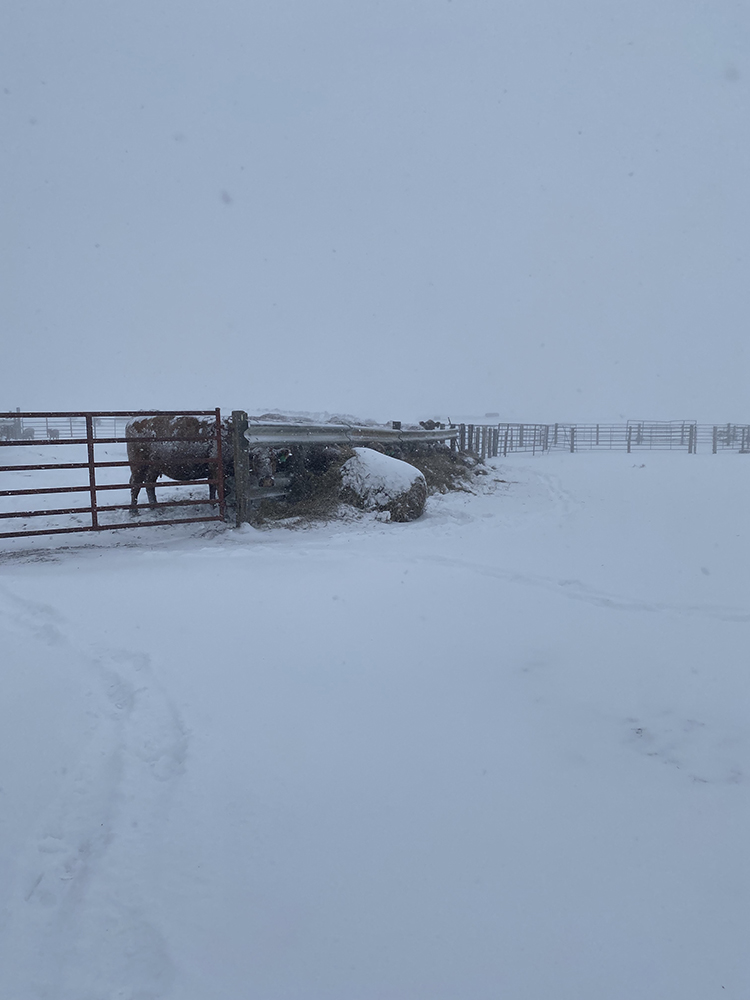 7 am and we already have plenty of snow