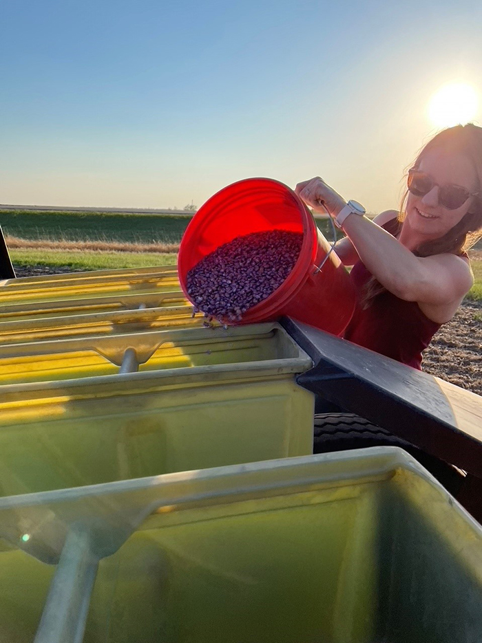 Anna loads seeds into the planter on a beautiful morning