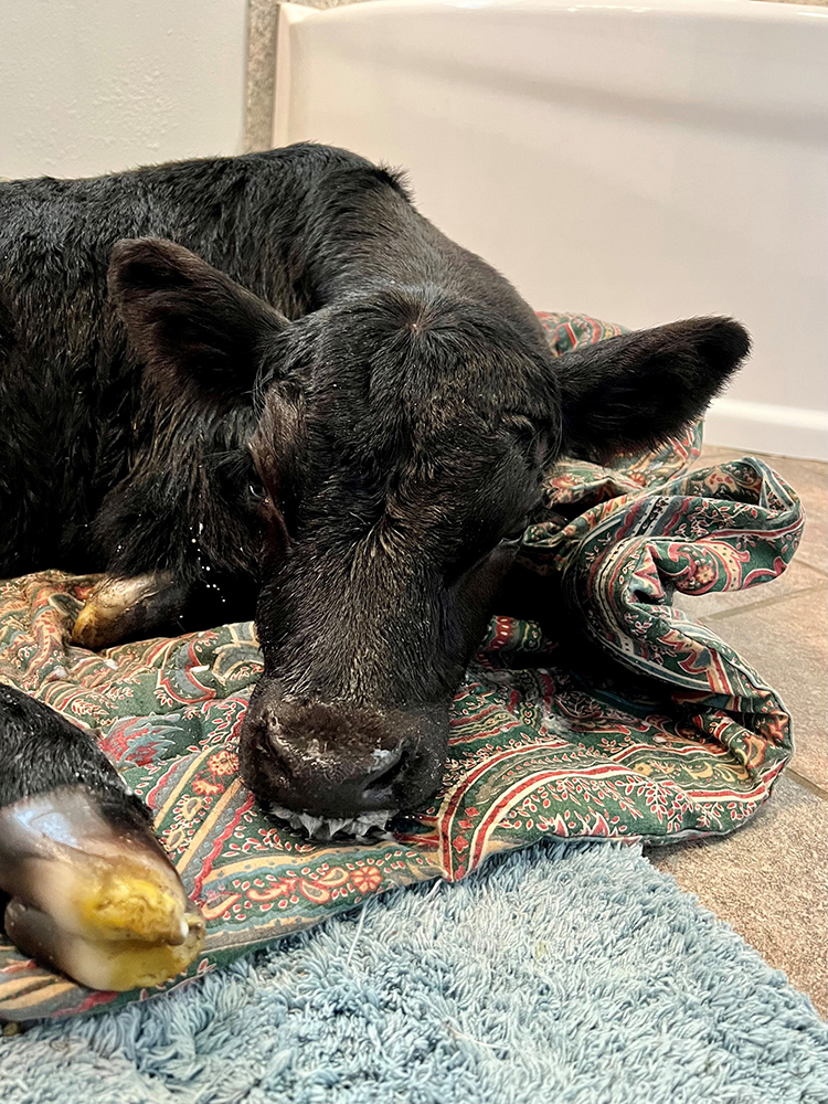 Feeling a little better after a warm bath