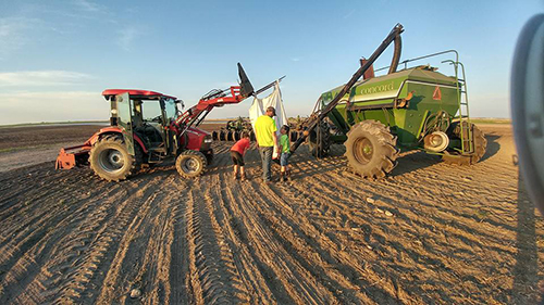 Helping dad in the field