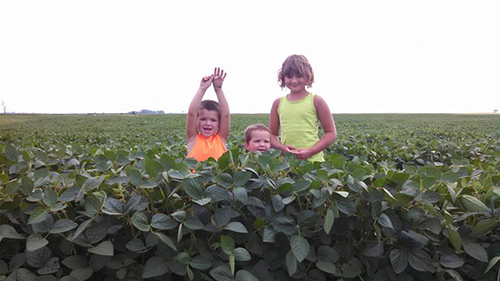 Carie's kids in the field