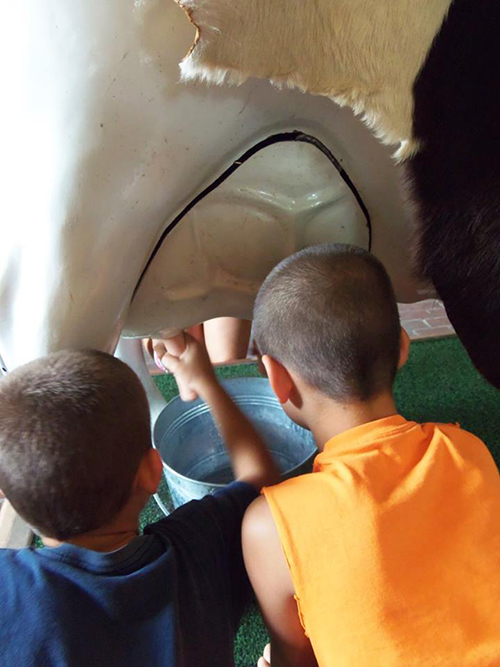 Carie's sons try their hand at milking a fake cow