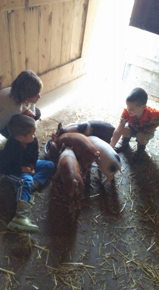 My kids and pigs