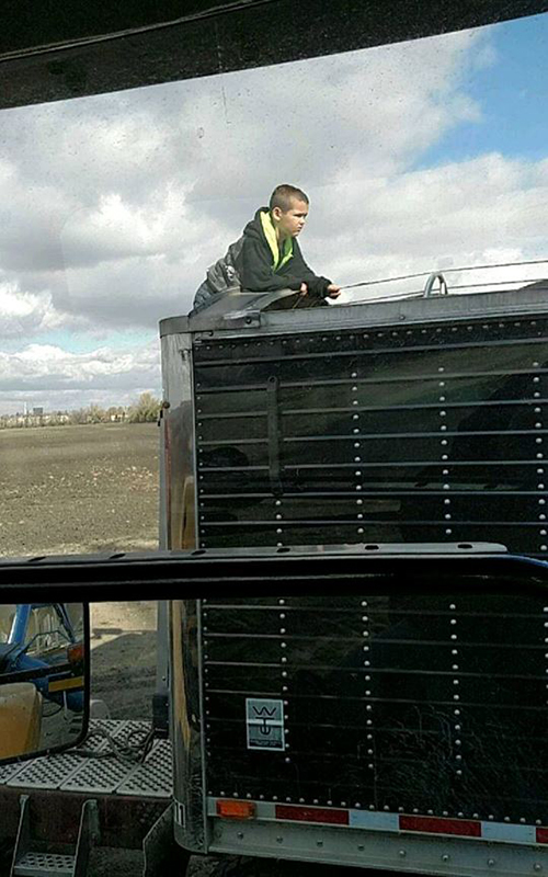 Son on the back of a truck