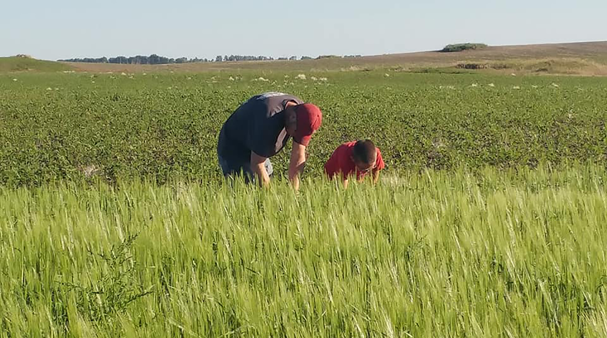 Learning in ag never stops