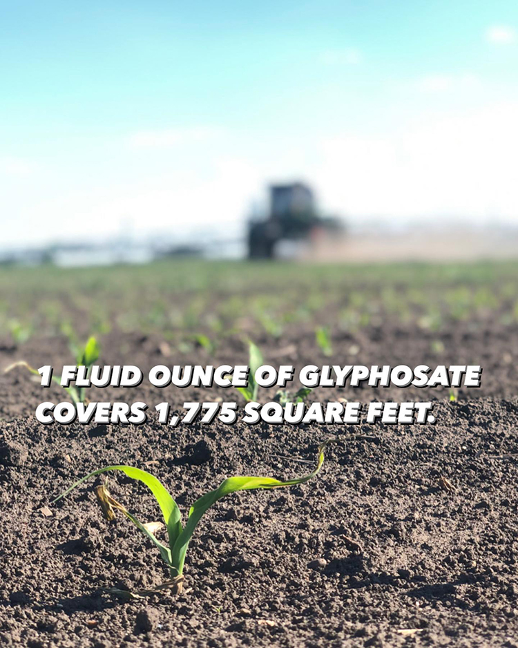 crops aren't doused with chemical