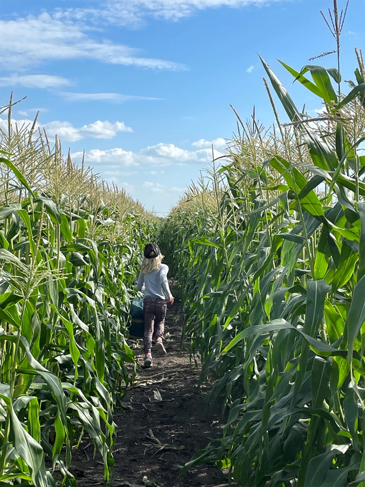 Children in the corn :)