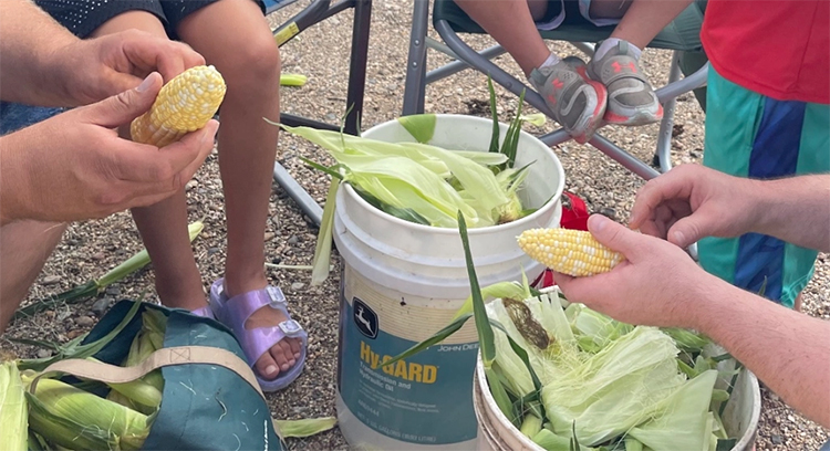 Shucking corn - yum!