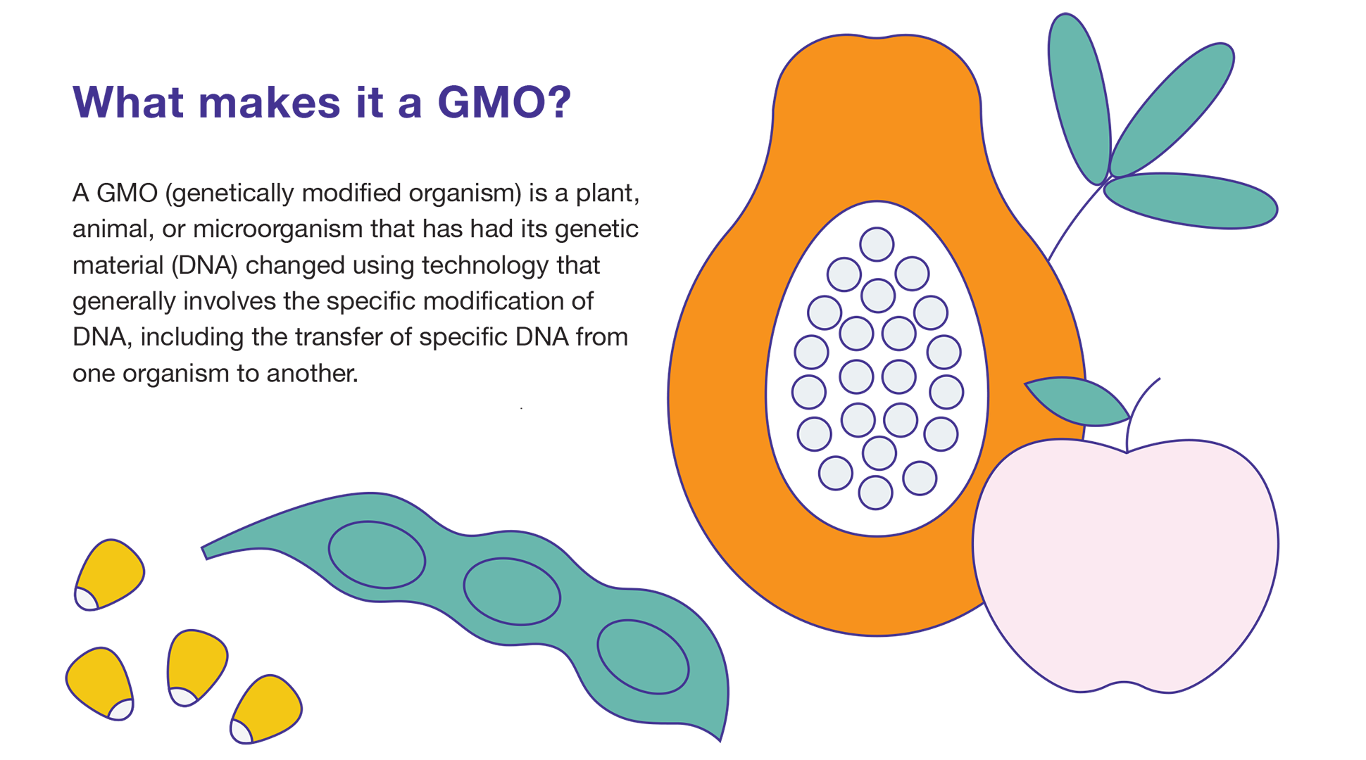 The facts you need on GMOs