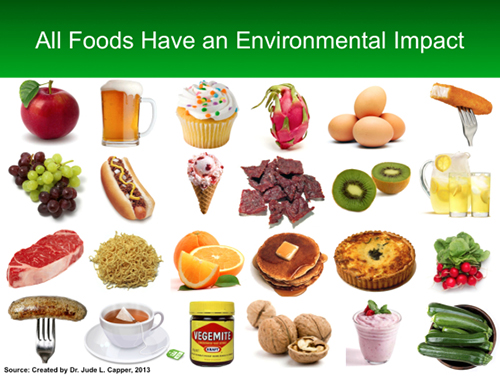 Everything you eat affects the environment