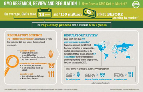 The GMO to Market chain