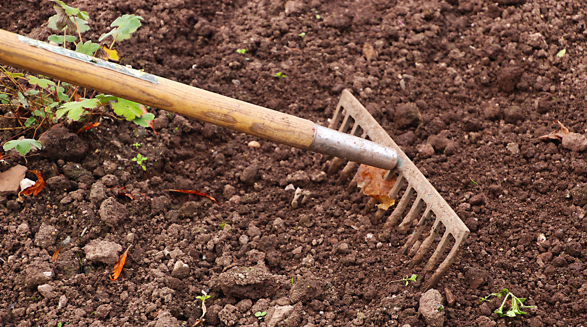 De-stress with gardening