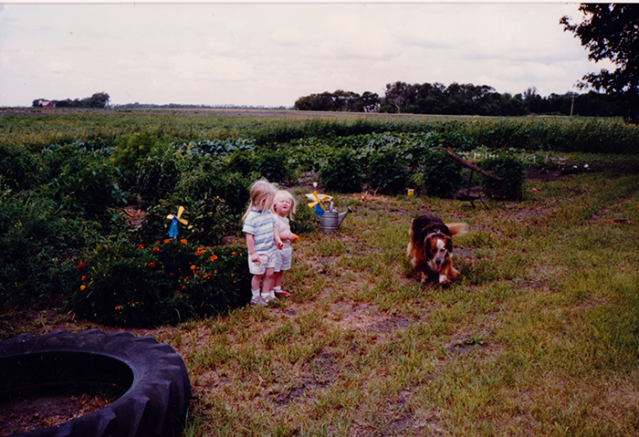 Gardening is a noble and calming pursuit. The garden nurtures us.