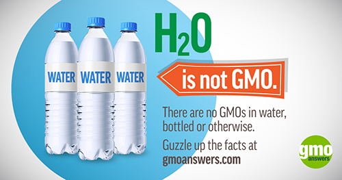 H2O is not GMO