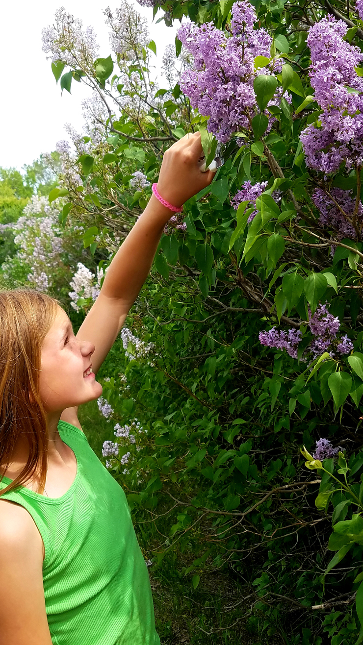 Heathers-daughter-picking-lilacs