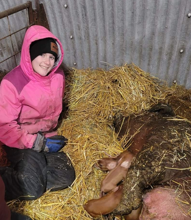 Heather's daughter takes care of the piglets