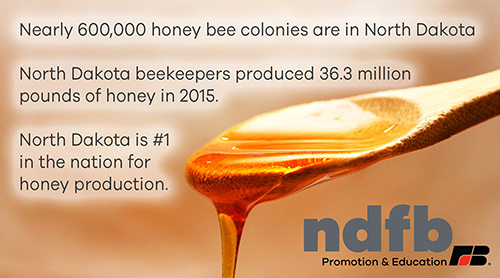 North Dakota is #1 in honey production