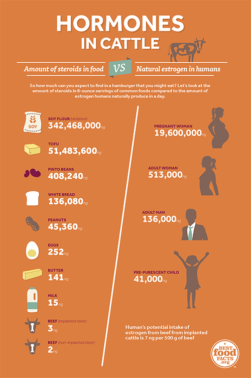 Added hormones in cattle?