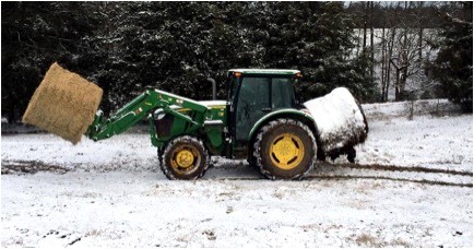 No snow days on the farm