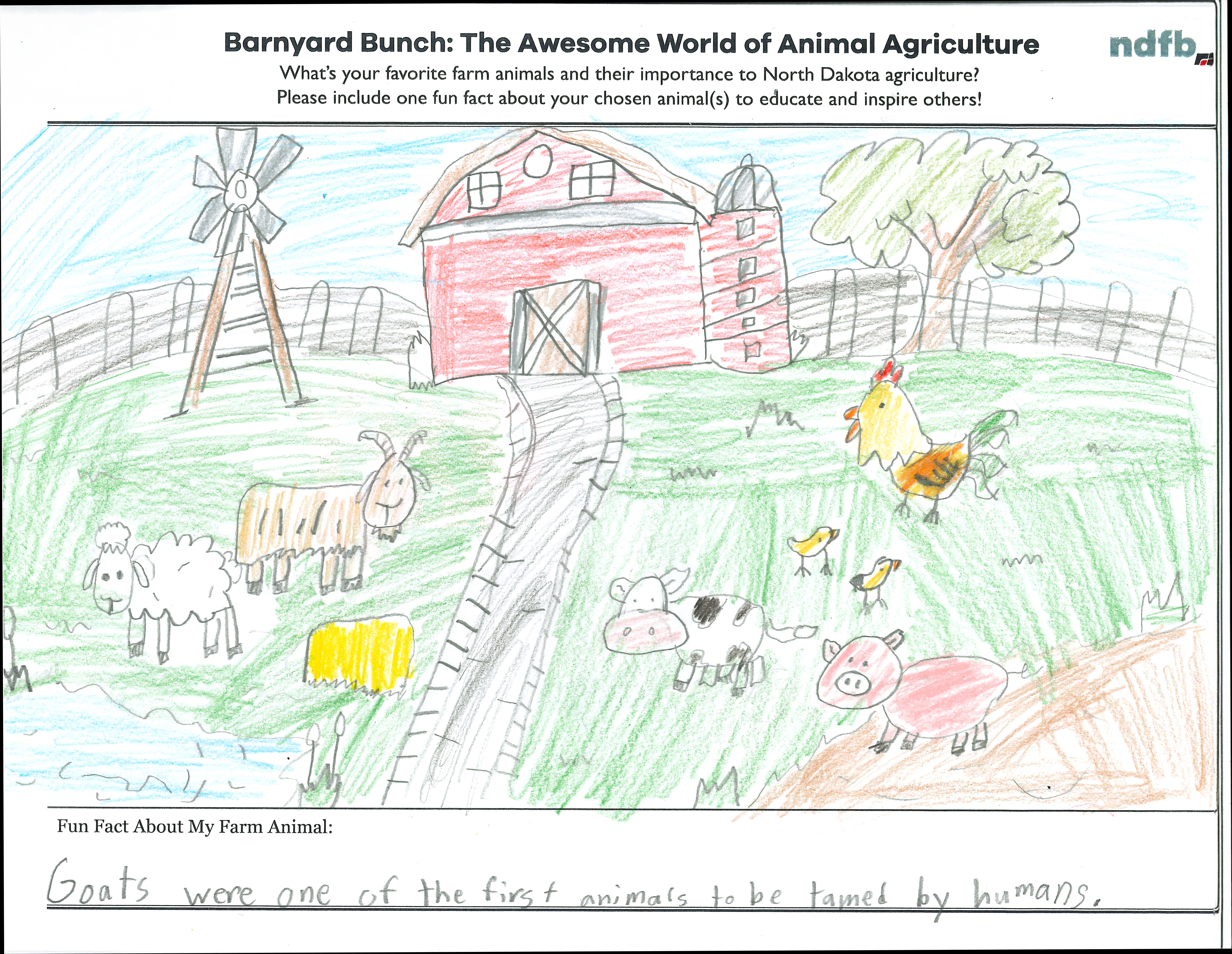Kase shares a goat fact for the drawing contest