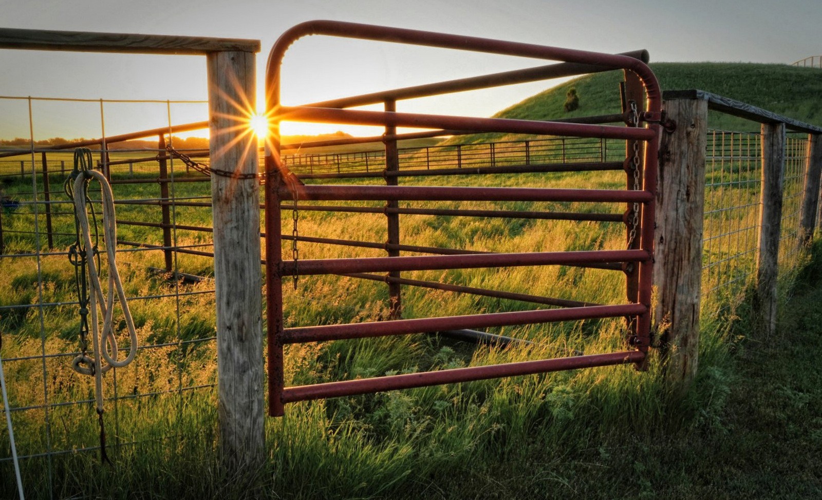 Katherine Plessner's winning landscape photo, was also the overall winner