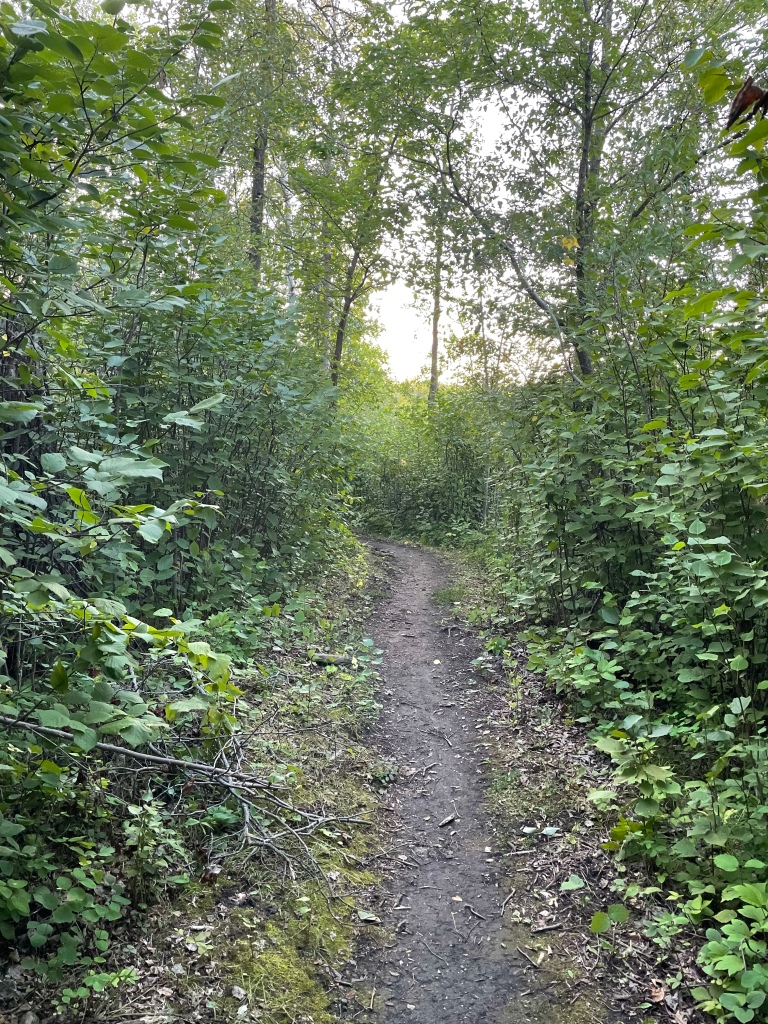 Old Oak Nature Trail, Metigoshe