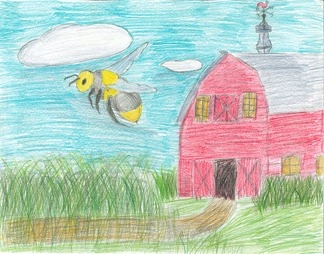 Bees and other pollinators are important to our food supply