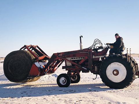 No matter the weather, the cattle need to be fed and cared for