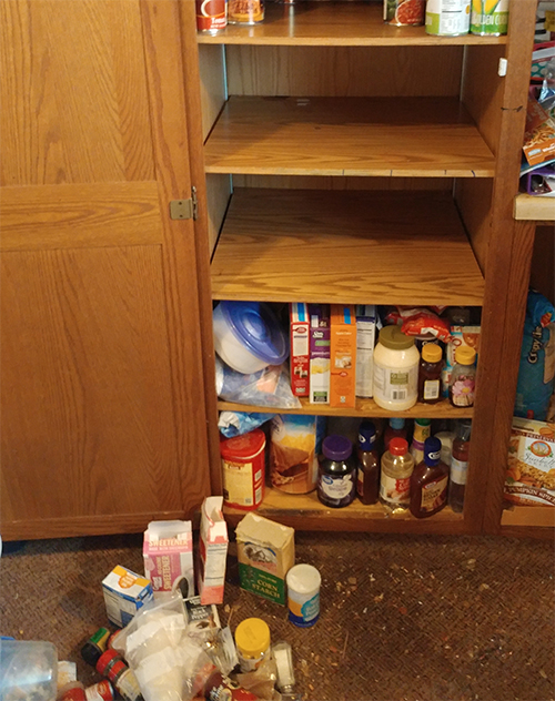 Cleaning out the pantry