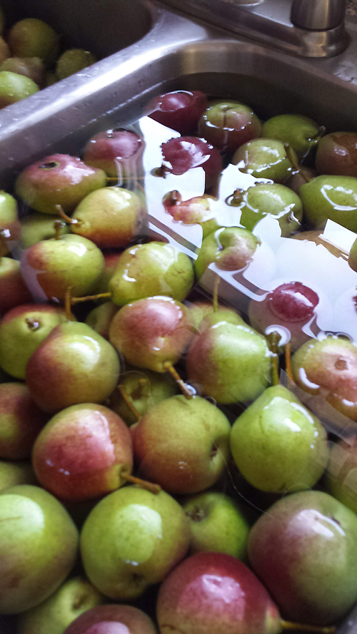 sink full of pears