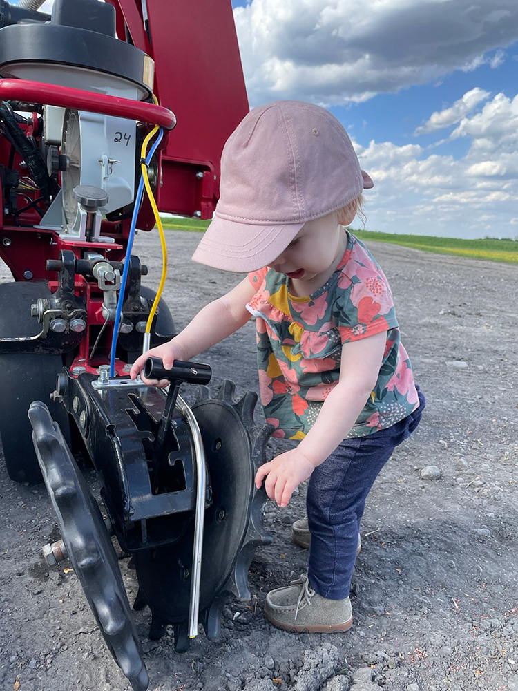 Checking out the planter