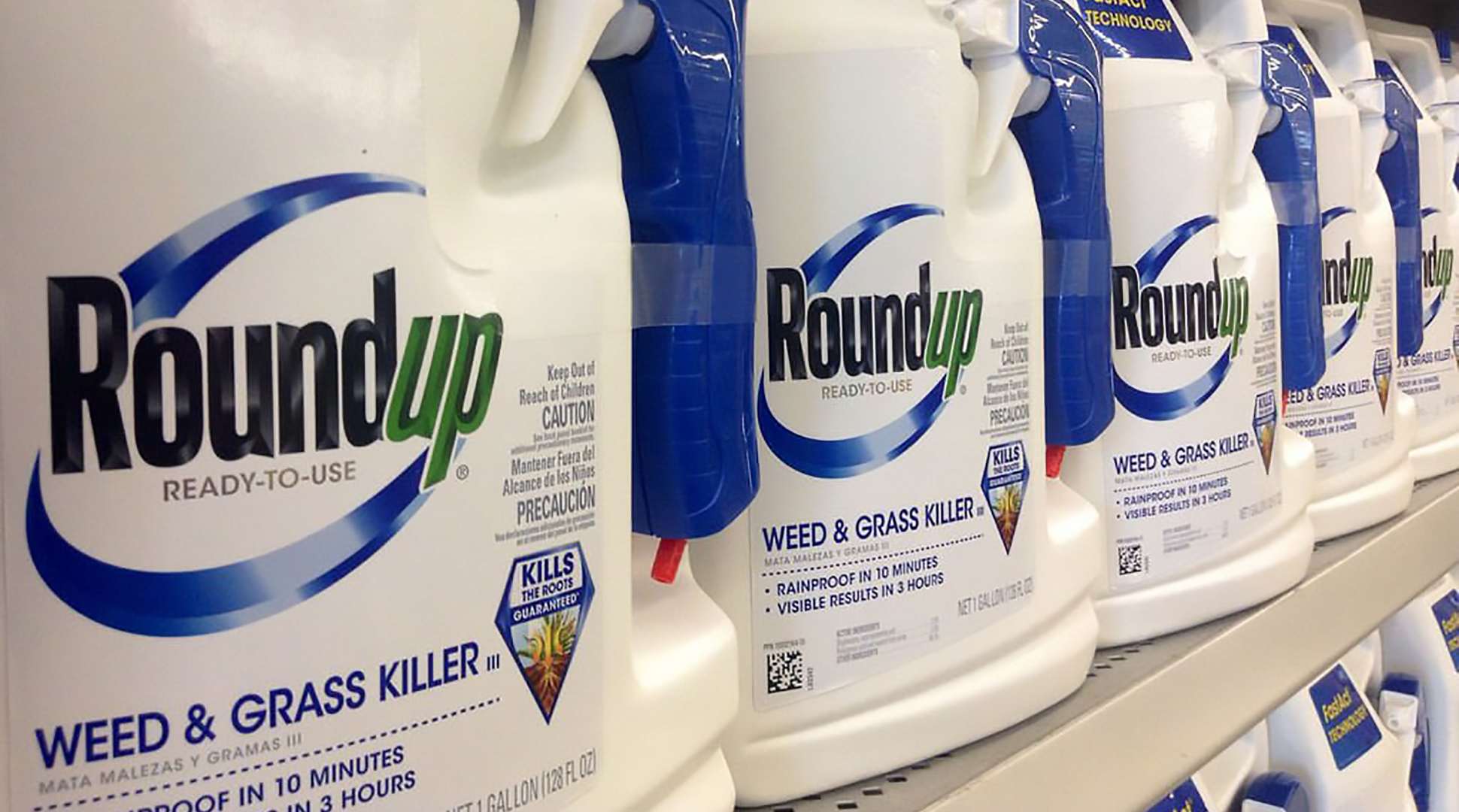 Glyphosate Q&A with FDA