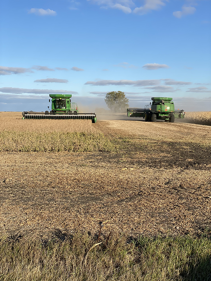 Combines in the field, harvest time
