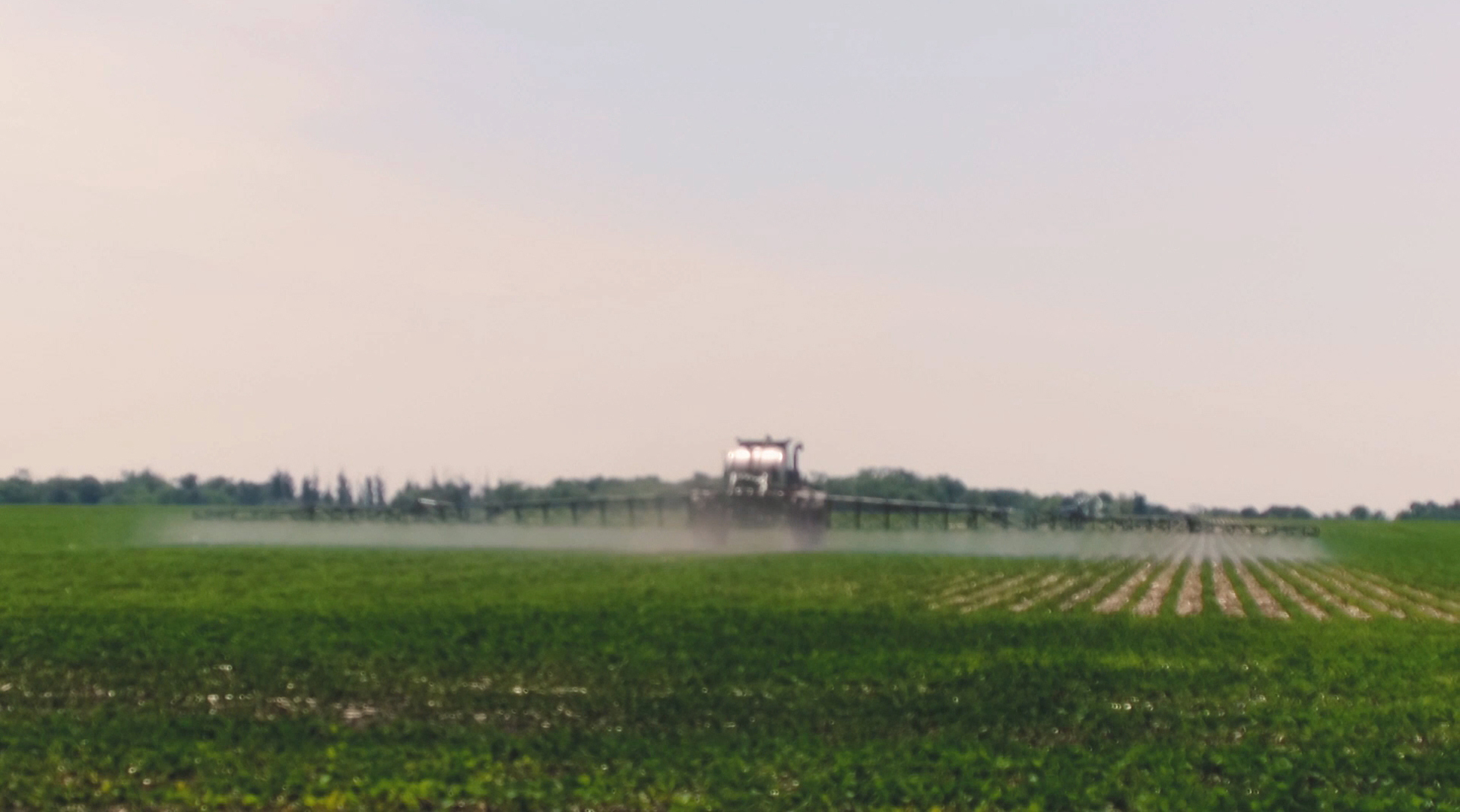 Pesticides and Food: It's not a black or white issue