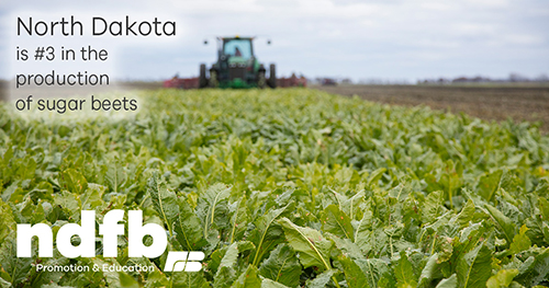North Dakota is #3 in sugar beet production