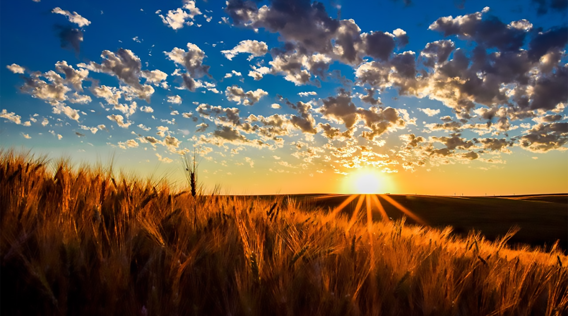 Harvest from a mom's point of view