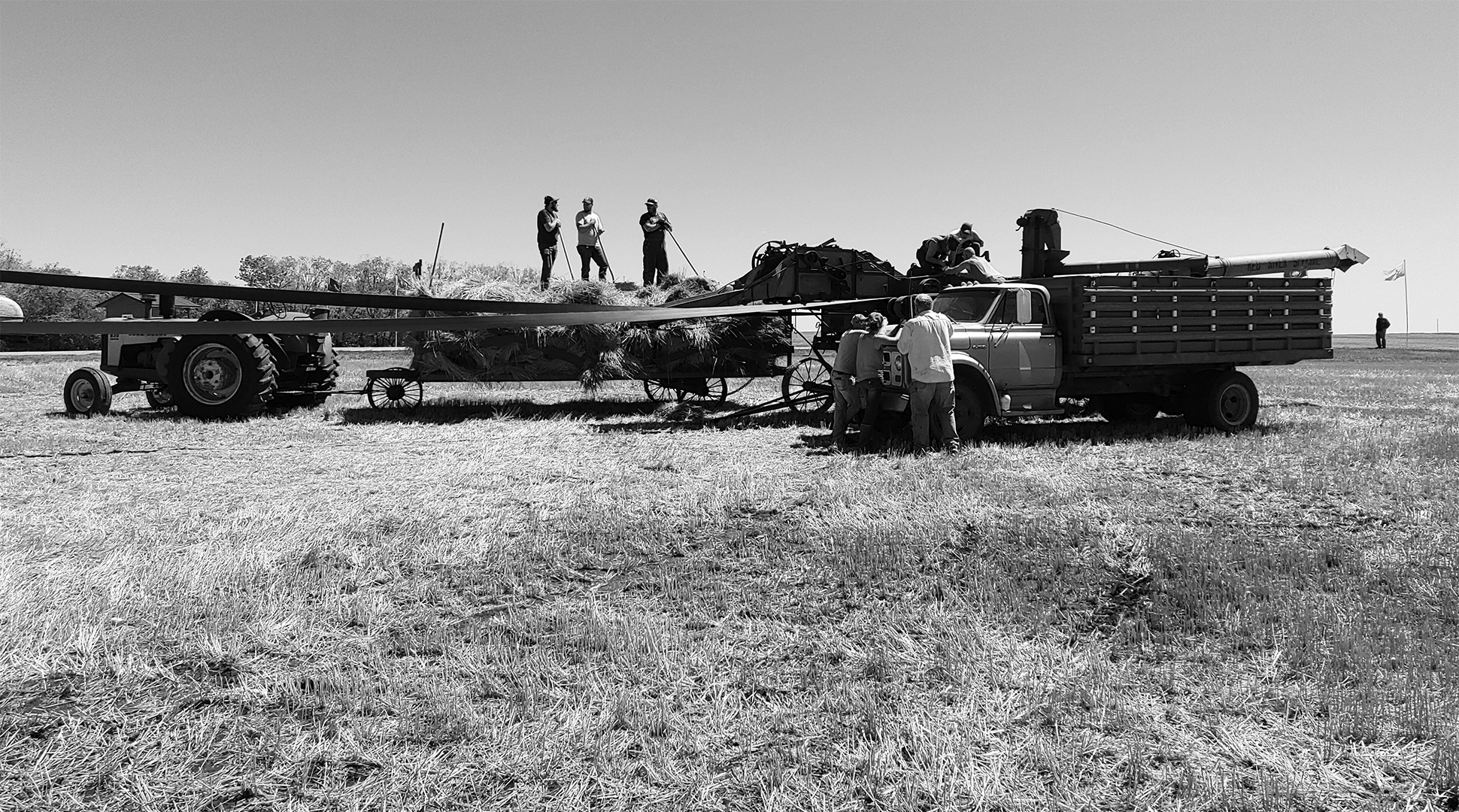 Wheat harvest then and now