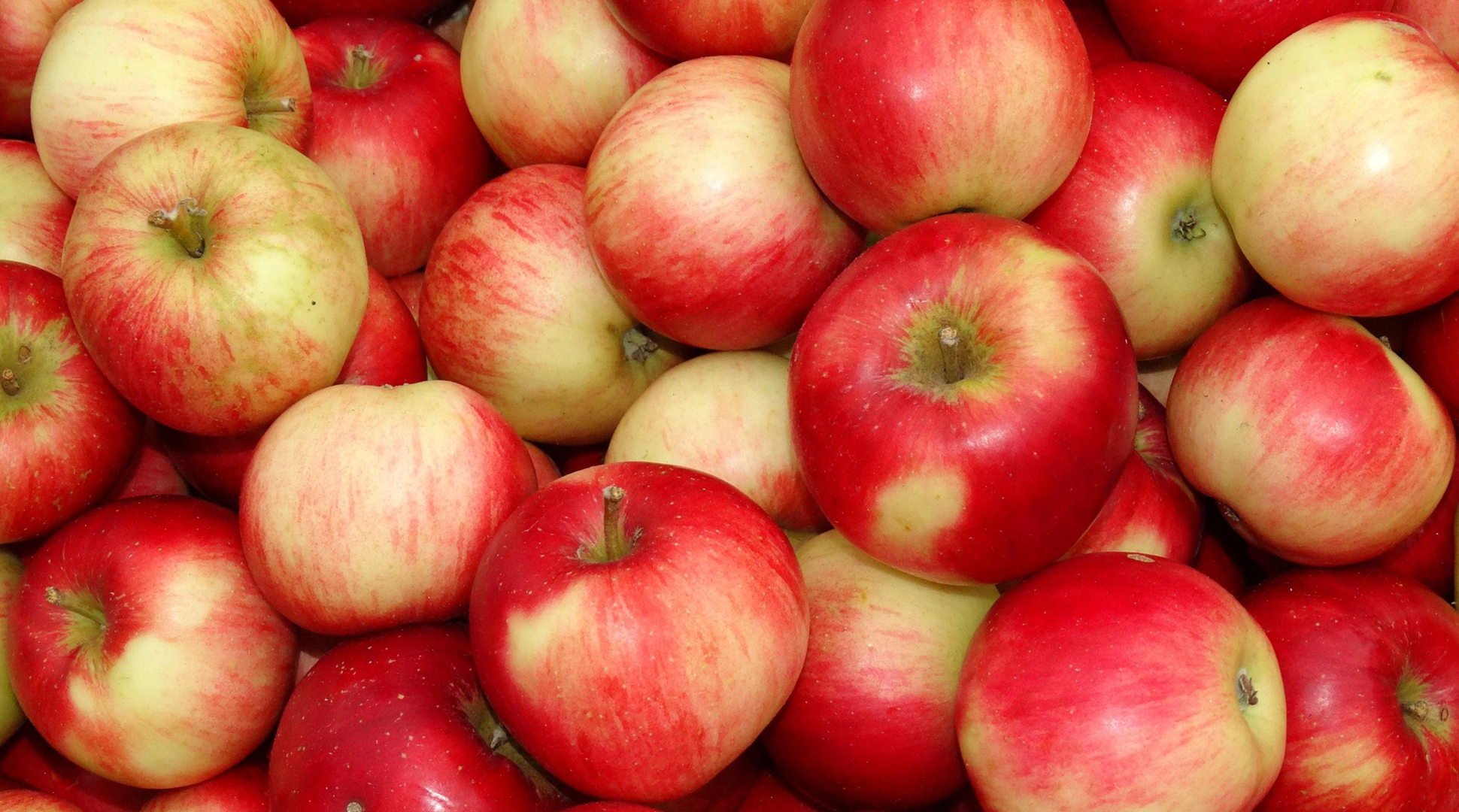 Too many apples?