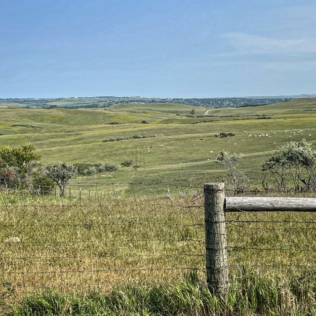 beautiful pastureland scene