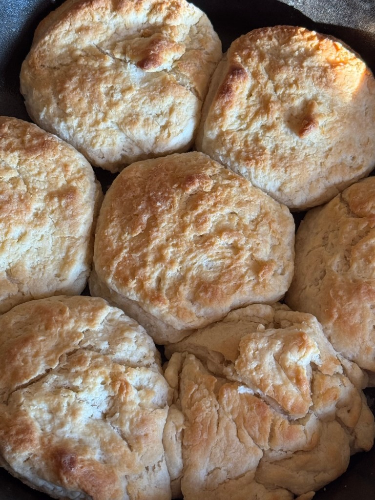 close up of homemade biscuits