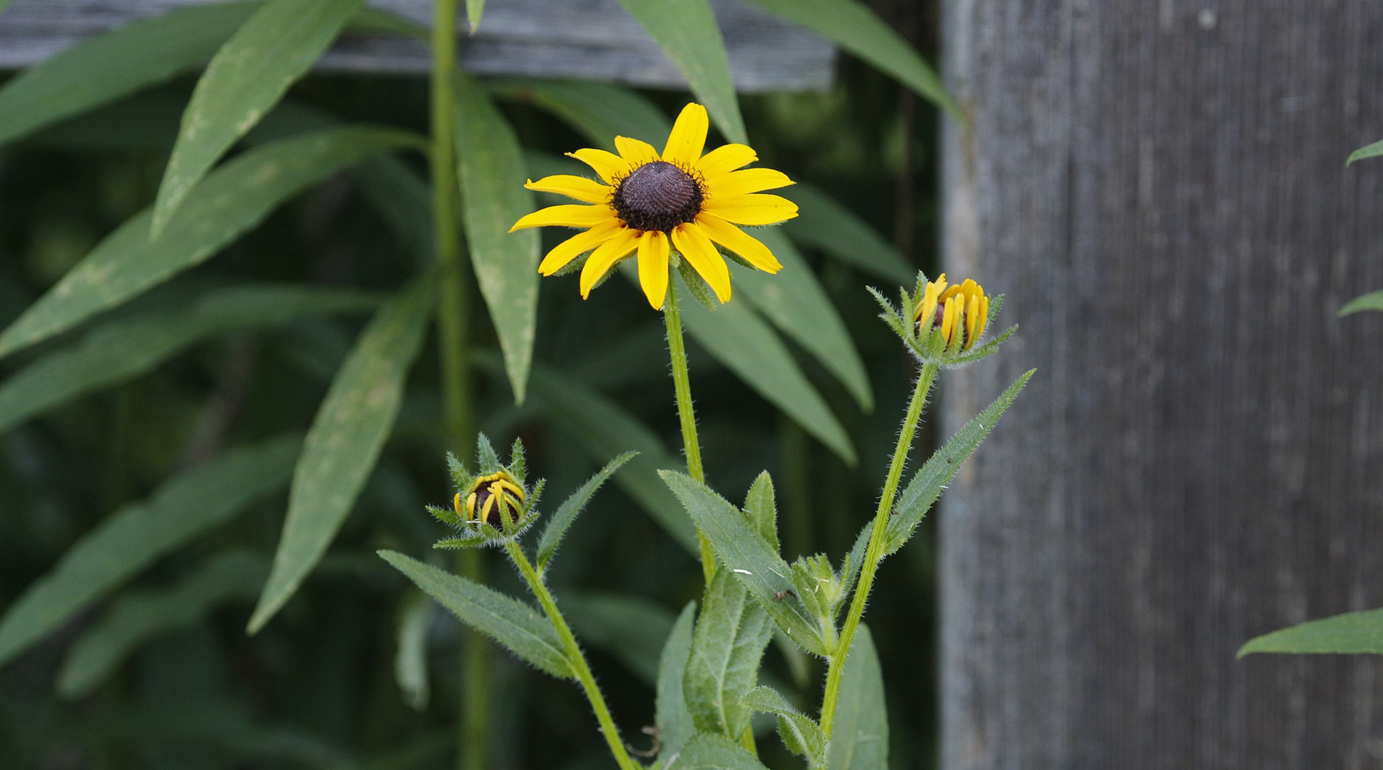 Motivation Monday: Bloom where you are planted