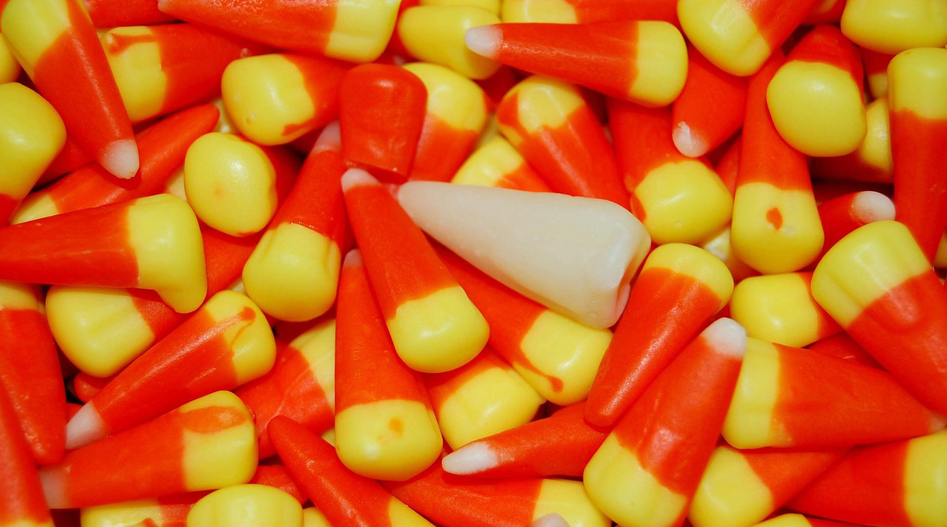 Celebrating candy corn