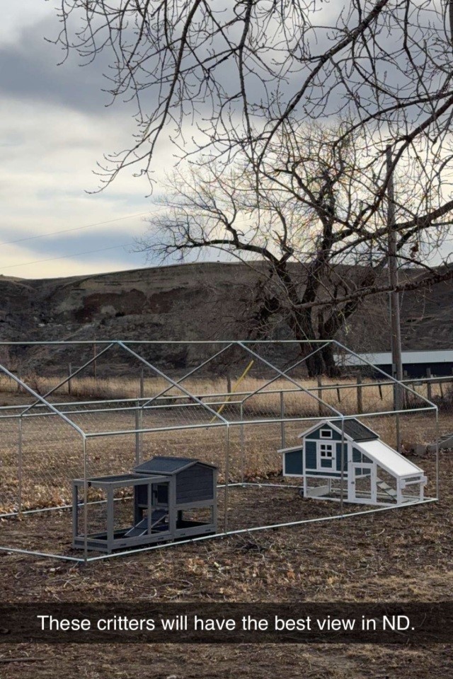 chicken and bunny houses in the Badands