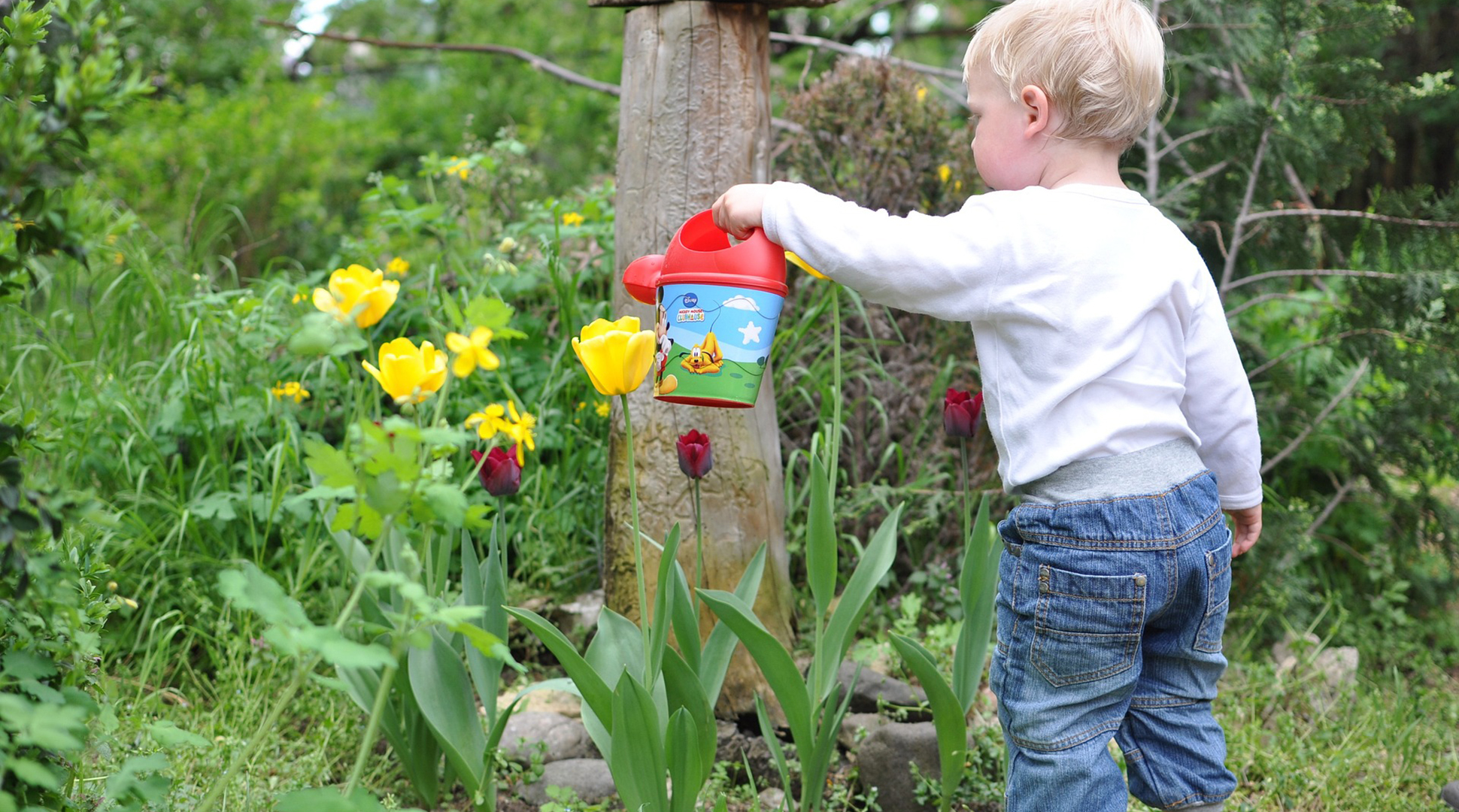 Gardening encourages better nutrition